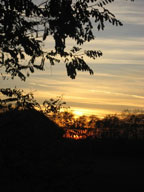 real estate, real estate broker, CAR, MCAR, monterey bay real estate, photography, web design, art, buy a home, sell a home