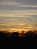 real estate, real estate broker, CAR, MCAR, monterey bay real estate, photography, web design, art, buy a home, sell a home
