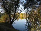 real estate, real estate broker, CAR, MCAR, monterey bay real estate, photography, web design, art, buy a home, sell a home