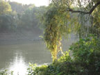 real estate, real estate broker, CAR, MCAR, monterey bay real estate, photography, web design, art, buy a home, sell a home